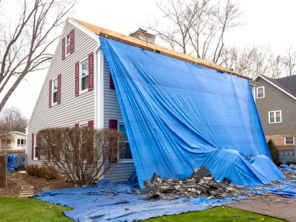 Best Historical Building Siding Restoration  in Long Neck, DE